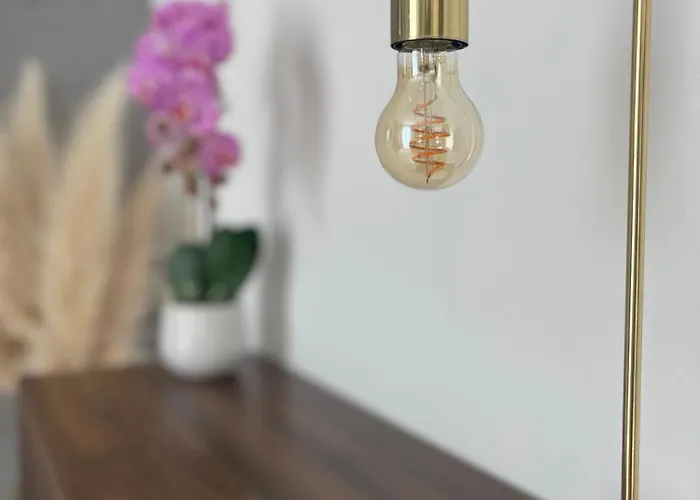 Carla Apartmán Cannes